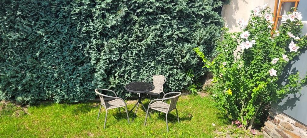 Ferienwohnung Eg Frauenmarkt 1 Schneeberg  Dış mekan fotoğraf